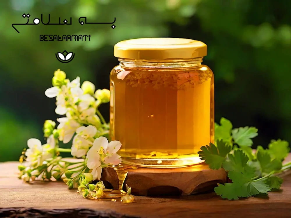 خرید-عسل-گشنیز-اصل-و-طبیعی-دی-1403